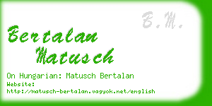 bertalan matusch business card